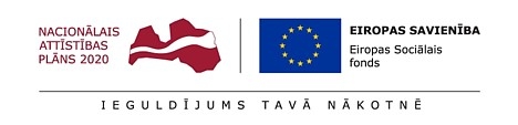 20220208-ES fondu logotipu